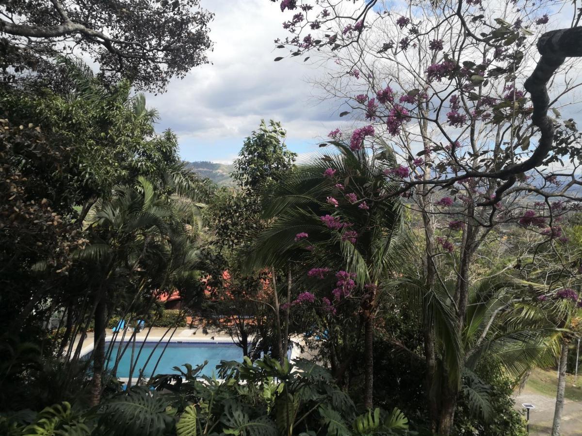 Hotel Villas De La Colina Atenas Exterior photo